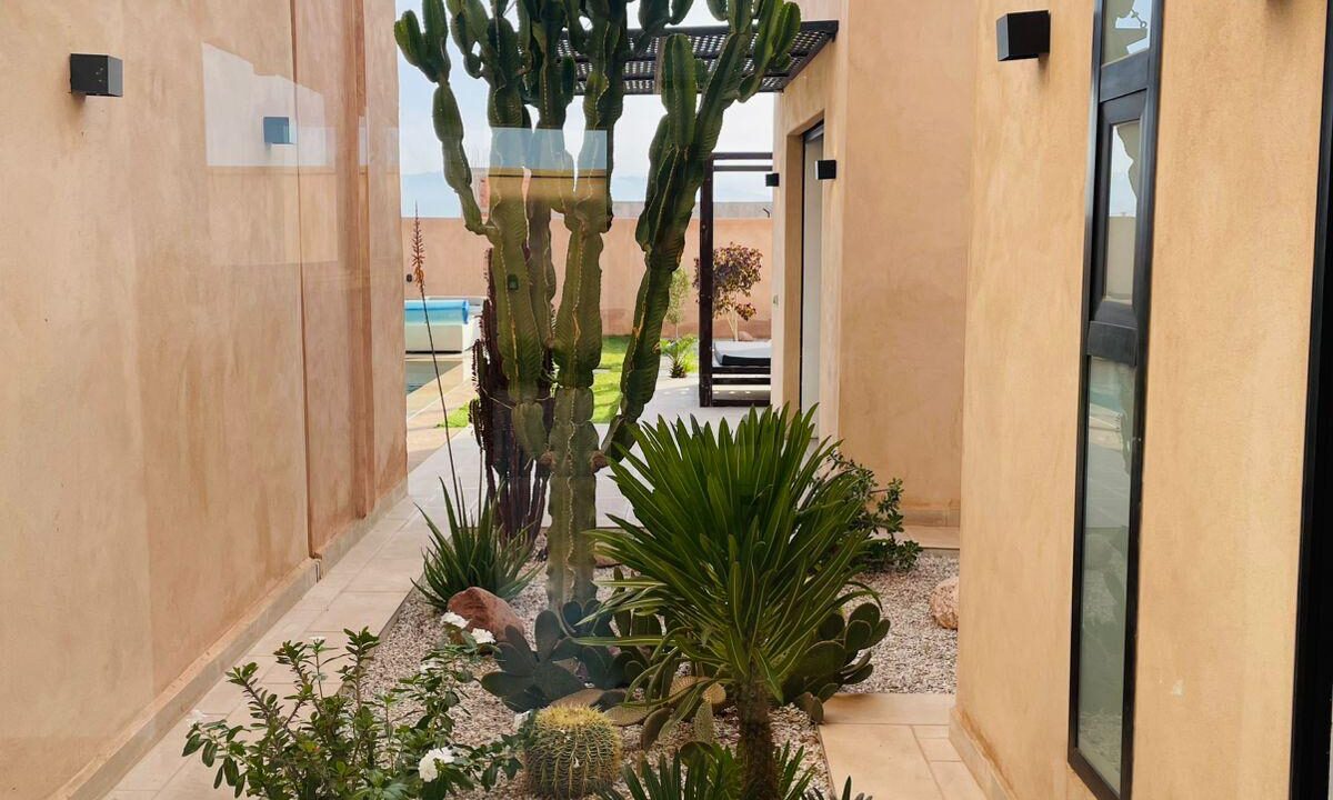 WhatsApp Image 2025-11-07 at 21.43.27